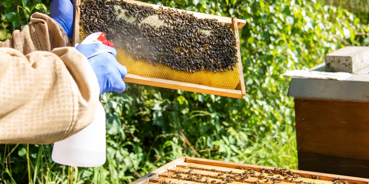 Oxuvar sprühen | © Andermatt BioVet AG